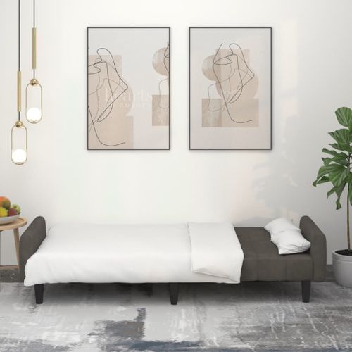 Vidaxl Canapé-Lit À 2 Places Gris Foncé Velours