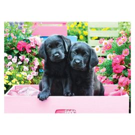 Puzzle Eurographics - Black Labs Dans Une Boîte Rose, 500 Pièces Xxl
