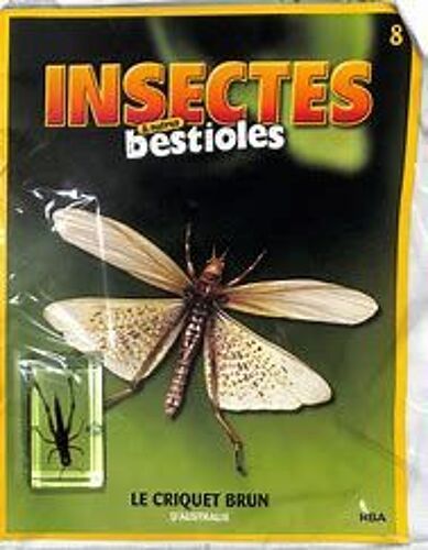 Insectes Et Bestioles - Volume 22 "Le Criquet Brun"