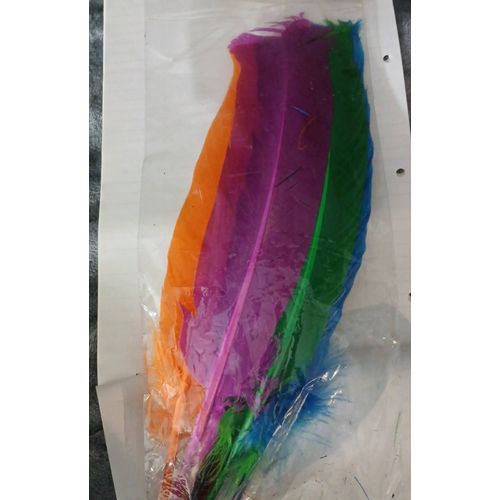 8 Grosses Plumes Colorées 35cm Chacune