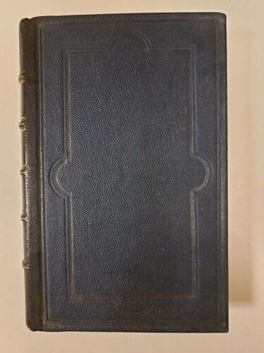 La Vie Profonde : Éveils Et Visions