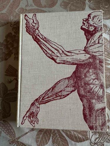 Les Merveilles De Notre Corps Mécanismes Des Fonctions Et Règles D'or De La Santé Tome 2