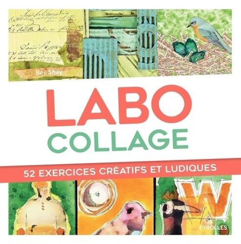 Labo Collage - 52 Exercices Créatifs Et Ludiques
