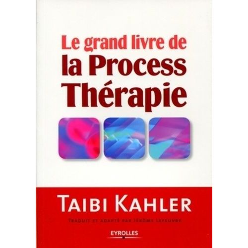 Le Grand Livre De La Process Thérapie