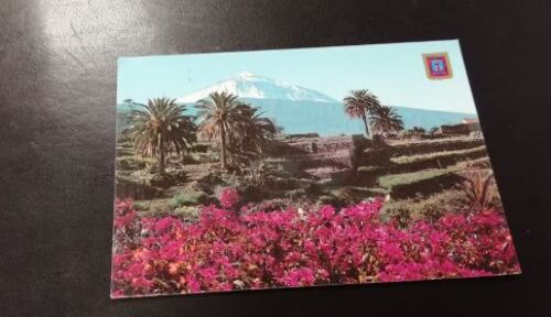 Carte Postale Tenerife En L'état Sur Les Photos