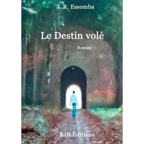Le Destin Volé