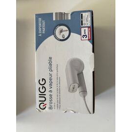 Brosse à vapeur pliable QUIGG