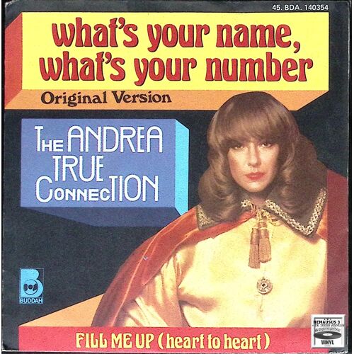 The Andrea True Connection - What's Your Name