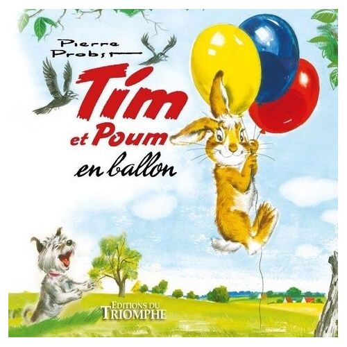 Tim Et Poum En Ballon