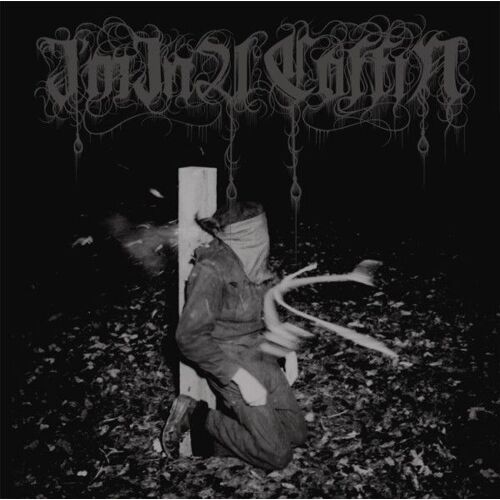 I'm In A Coffin - One Final Action