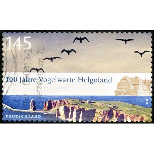 Timbre Oblitéré Deutschland, 100 Jahre Vogelwarte Helgoland, 2010, 145