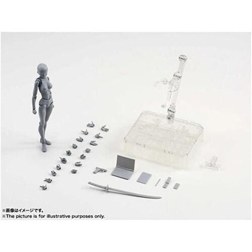 Figurine Articulée Figuarts Body-Chan-Jouet De Collection En Pvc Gris (Femelle)