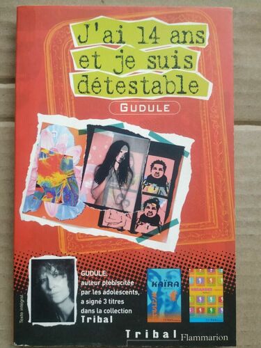 Gudule J'ai 14 Ans Et Je Suis Détestable Tribal Flammarion
