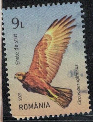 Roumanie 2021 Oblitéré Used Oiseau Rapace Circus Aeruginosus Busard Des Roseaux Y&t Ro 6678 Su