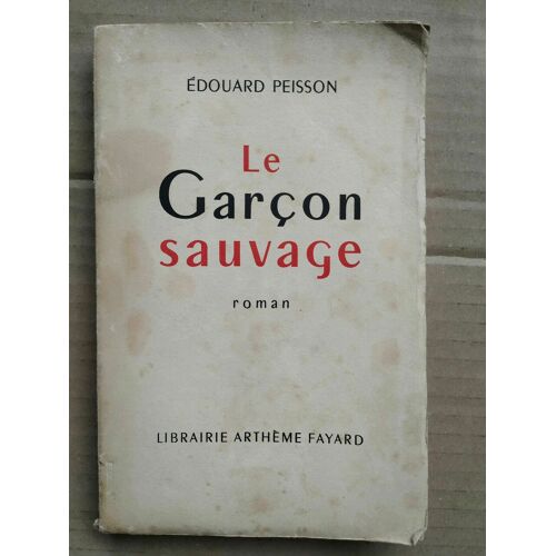 Le Garçon Sauvage Librairie Arthème Fayard