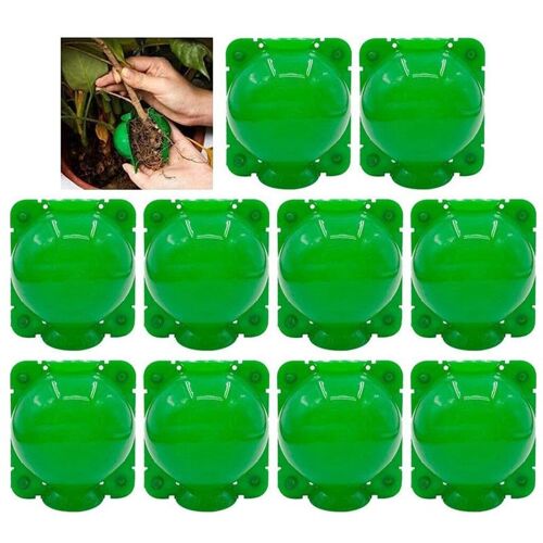 Boîte Culture Racines Plantes 10 Pièces Dispositif d'Enracinement Plantes Propagation Haute Pression Ball Rooter Box Greffage Botany Root Controller Plantes Reproduction Asexuée (Petit)