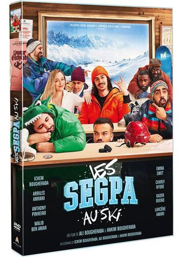 Les Segpa Au Ski