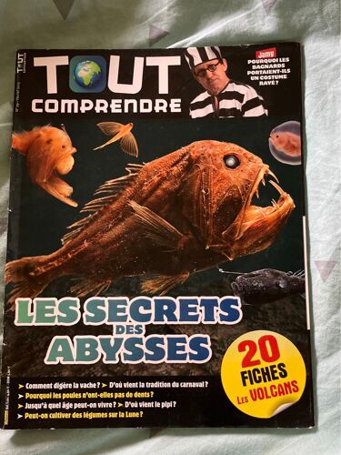Tout Comprendre . No 29 . Les Secrets Des Abysses 
