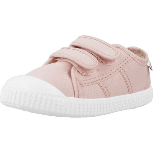 Victoria 136606n Colour Rose - 25
