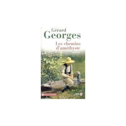 Les Chemins D'améthyste - Gérard Georges