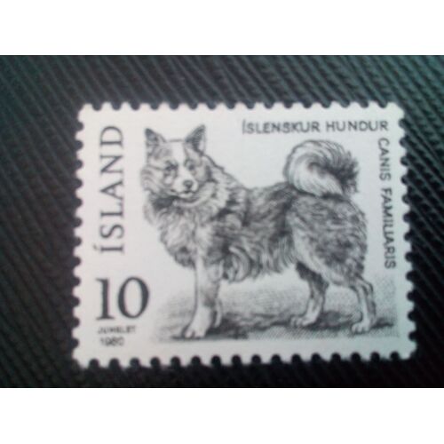 Timbre Islande Y T 503 Chien Islandais (Canis Lupus Familiaris) 1980 ( 090208 )