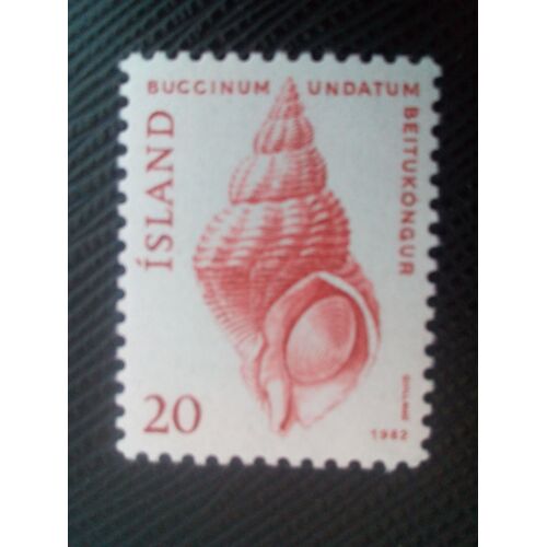 Timbre Islande Y T 529 Buccin Commun (Buccinum Undatum) 1982 ( 090208 )
