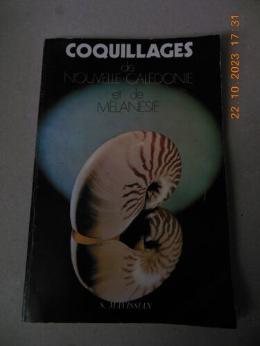 Coquillages De Nouvelle-Calédonie Et De Mélanésie