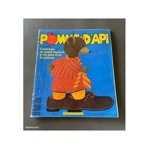 Livre Pomme D’Api Novembre 1991 Numero 309