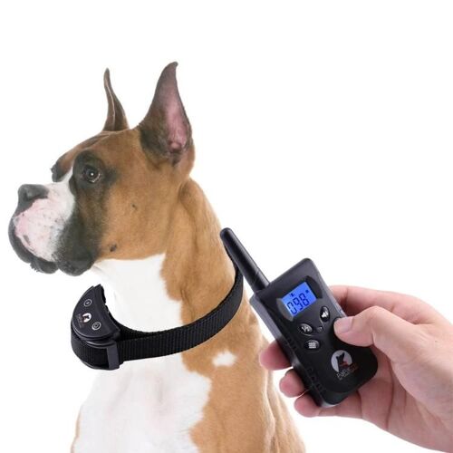 Collier Anti-Aboiement Automatique Pour Chiens-Système De Dressage Pd520v