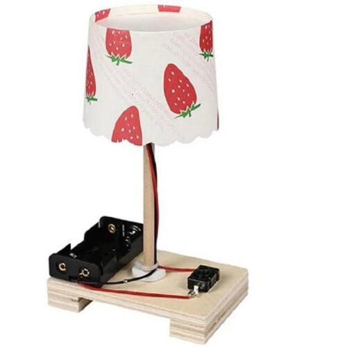 Petite Lampe De Table Diy - Kit D'expérimentation Scientifique Créative Pour Les Étudiants