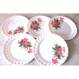Lot De 5 Assiettes À Dessert En Plastique Rigide - Décor Floral - Diamètre 20cm