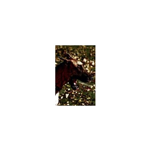 Doan & Carstairs