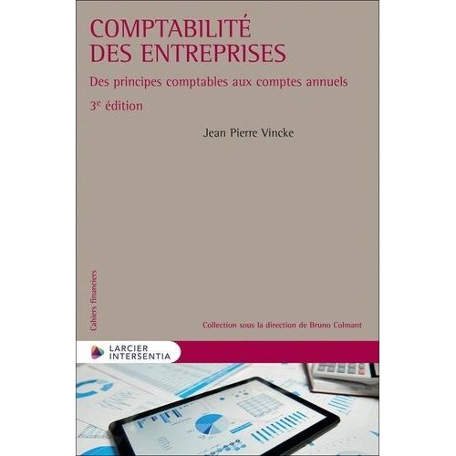 Comptabilité Des Entreprises - Des Principes Comptables Aux Comptes Annuels