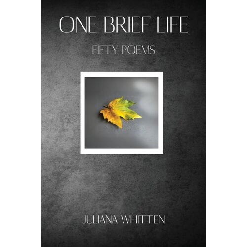 One Brief Life