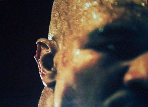 Las Vegas En 1997, L'oreille D'evander Holyfield Entamée Par Les Dents De Mike Tyson
