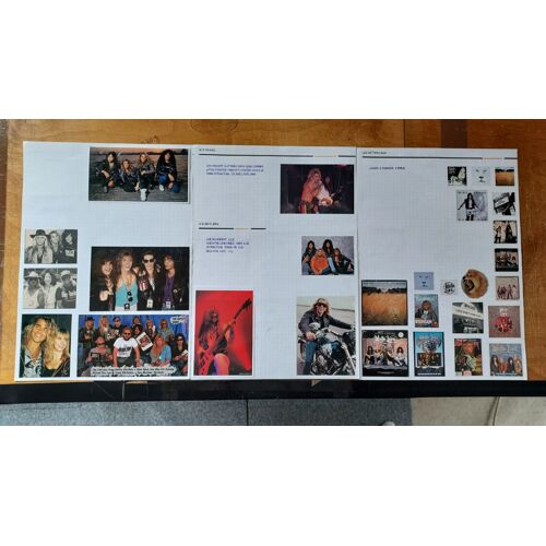 White Lion 8 Pages De Photos De Presse Internationale