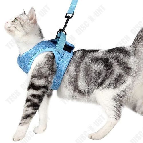 Td® Chaton Laisse Tissu Autocollant Fort 67g Boucle Réglable Cravate Chat Slip Chat Poitrine Harnais Laisse Pour Animaux De Compagni