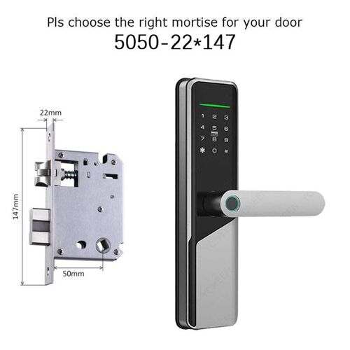 Grammaire Comparée Des Langues De La France: Flamand, Allemand, Celto-Breton, Basque, Provencal, Espagnol, Italien, Francais Comparés Au Sanscrit