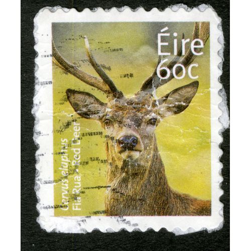 Timbre Oblitéré Eire, Cervus Elupnus, 60 C