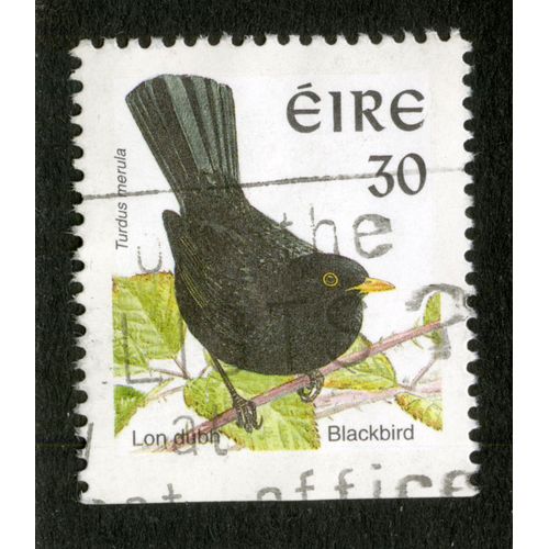 Timbre Oblitéré Eire, Lon Dubh, Turdus Merula, Blackbird, 30