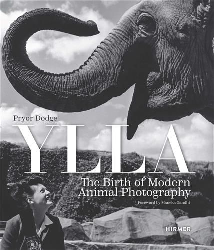 Ylla: The Birth Of Modern Animal Potography /Anglais