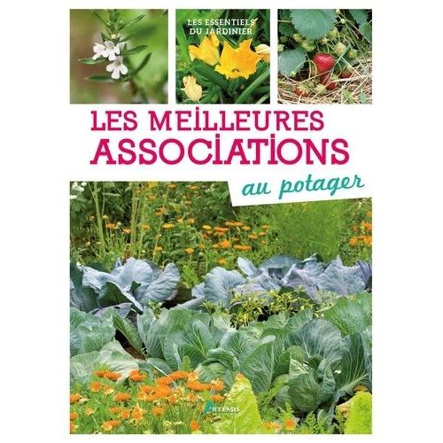 Les Meilleures Associations Au Potager
