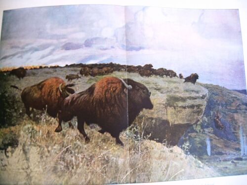 Science Univers Humanite Divers Système Nature Force Naturelle Kraemer 2e Vol