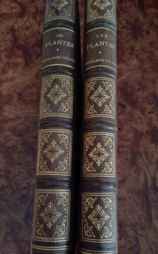 Les Plantes À Feuillage Coloré Aux Éditions Rothschild Années 1867/1870 Deux Volumes