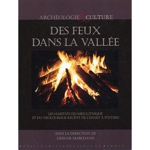 Des Feux Dans La Vallée - Les Habitats Du Mésolithique Et Du Néolithique Récent À L'essart À Poitiers (Vienne)