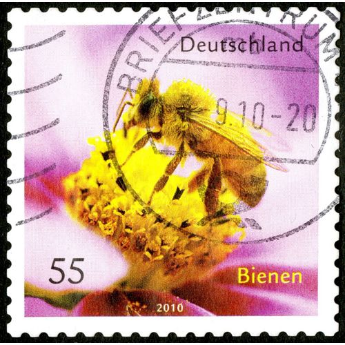 Timbre Oblitéré Deutschland, Bienen, 2010, 55