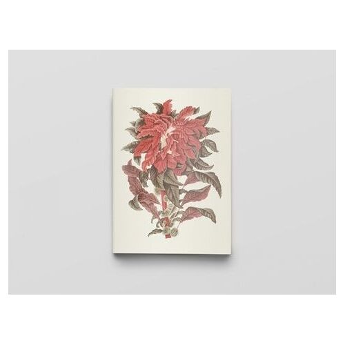 Carnet Fleurs, Fruits Et Feuillages De Jav