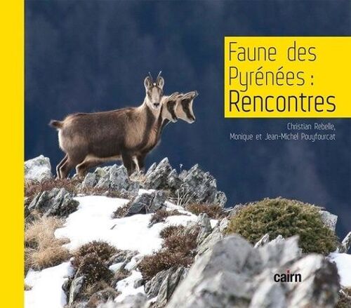 Faune Des Pyrénées : Rencontres