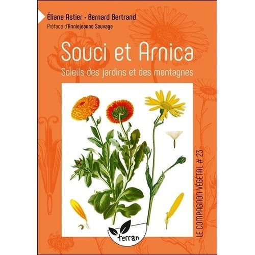Souci Et Arnica - Soleils Des Jardins Et Des Montagnes