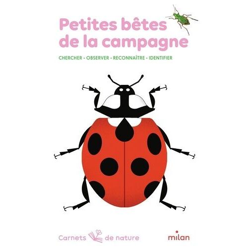 Petites Bêtes De La Campagne - Chercher, Observer, Reconnaître, Identifier